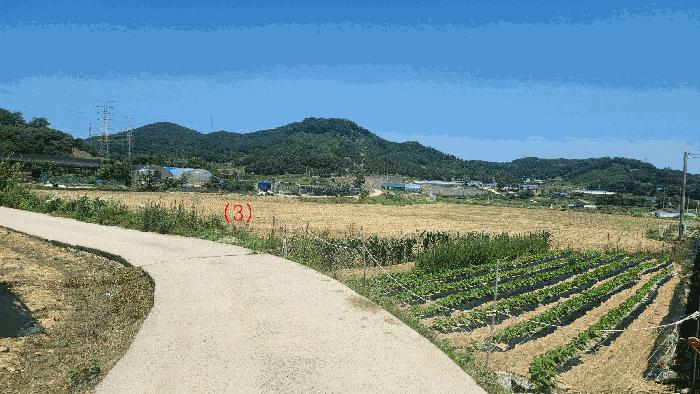 충청남도 아산시 음봉면 신정리 18 답 경매 사진 10