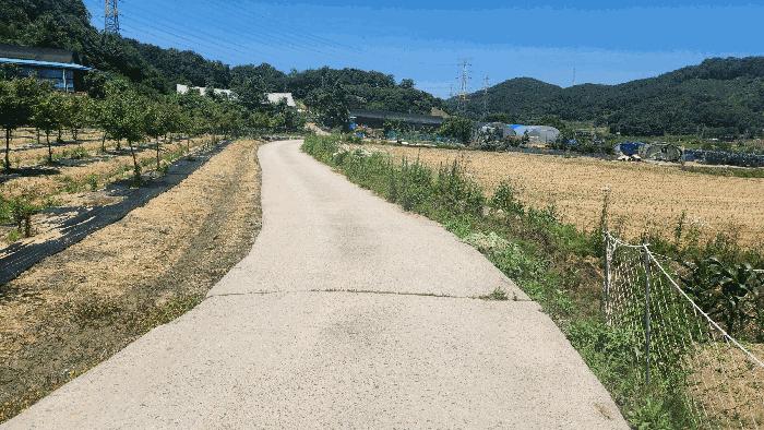 충청남도 아산시 음봉면 신정리 18 답 경매 사진 11