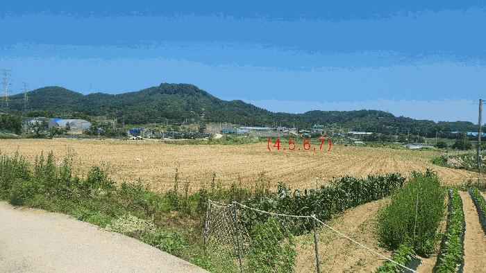 충청남도 아산시 음봉면 신정리 18 답 경매 사진 12