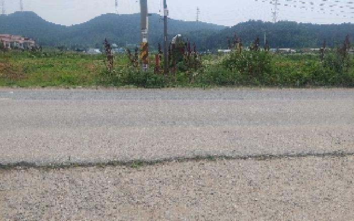 충청남도 아산시 음봉면 신정리 18 답 경매 사진 16