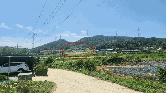 충청남도 아산시 음봉면 신정리 18 답 경매 사진 2