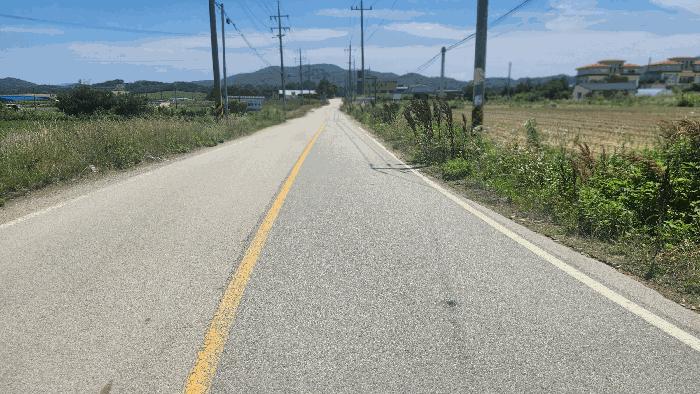 충청남도 아산시 음봉면 신정리 18 답 경매 사진 3