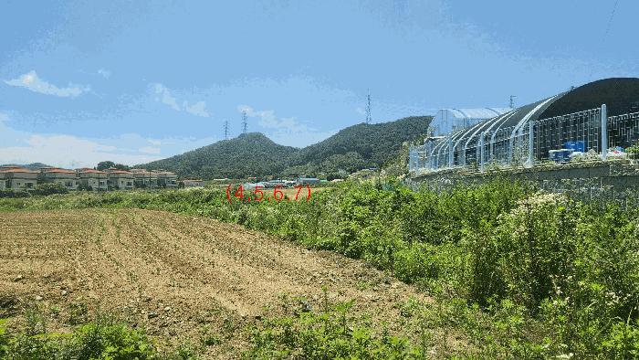 충청남도 아산시 음봉면 신정리 18 답 경매 사진 4