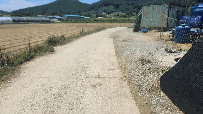 충청남도 아산시 음봉면 신정리 18 답 경매 사진 6