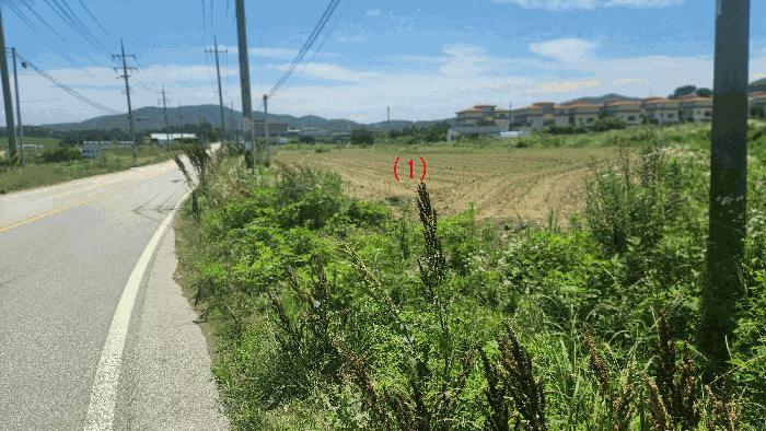 충청남도 아산시 음봉면 신정리 18 답 경매 사진 7