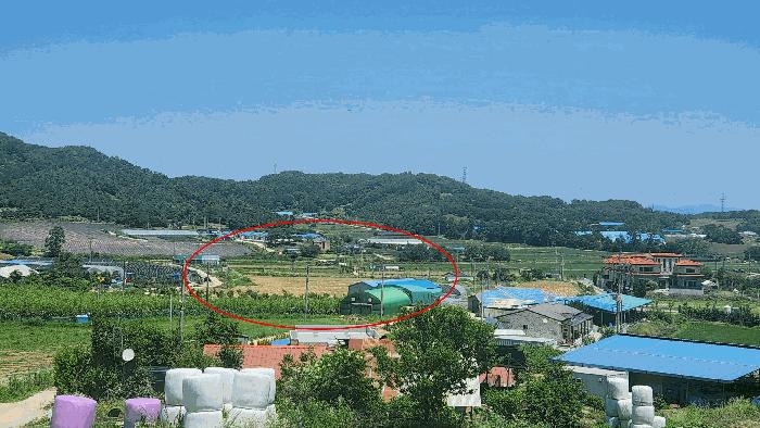 충청남도 아산시 음봉면 신정리 18 답 경매 사진 8
