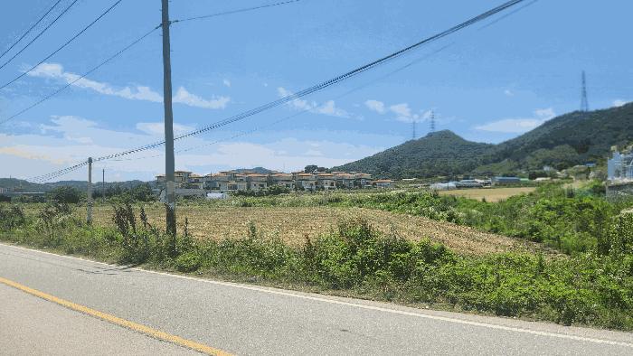 충청남도 아산시 음봉면 신정리 18 답 경매 사진 9