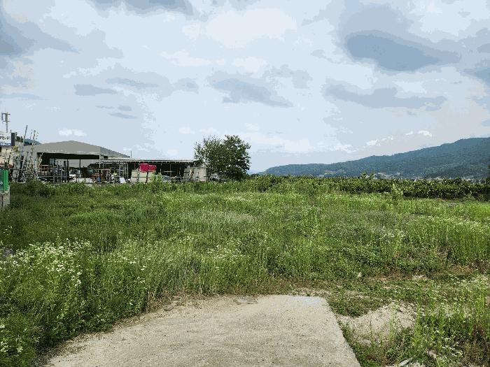 충청북도 음성군 음성읍 평곡리 935-1 2층202호 다세대(빌라) 경매 사진 15