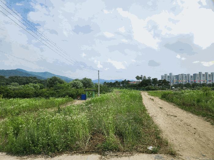충청북도 음성군 음성읍 평곡리 935-1 2층202호 다세대(빌라) 경매 사진 5