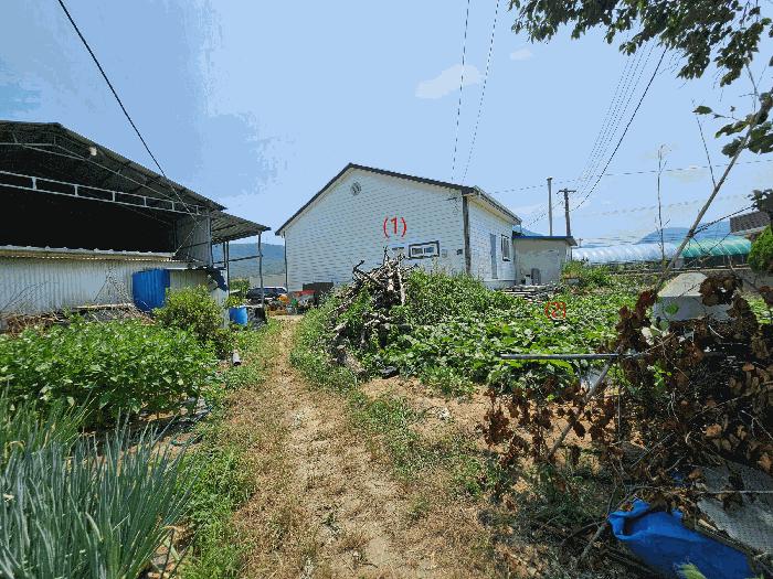 경상북도 포항시 북구 기계면 성계리 648 주택 경매 사진 5