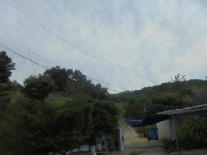 충청북도 충주시 주덕읍 대곡리 662 답 경매 사진 40