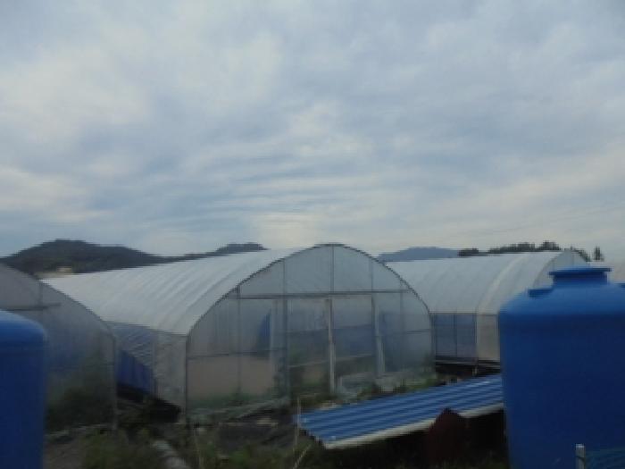 충청북도 충주시 주덕읍 대곡리 662 답 경매 사진 42
