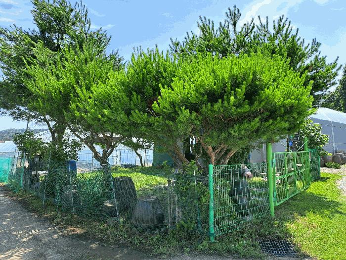 충청북도 충주시 주덕읍 대곡리 662 답 경매 사진 7