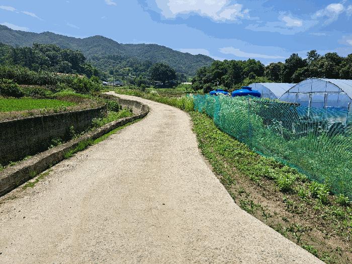 충청북도 충주시 주덕읍 대곡리 662 답 경매 사진 9