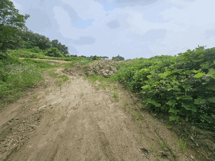 충청북도 음성군 대소면 소석리 567 전 경매 사진 1