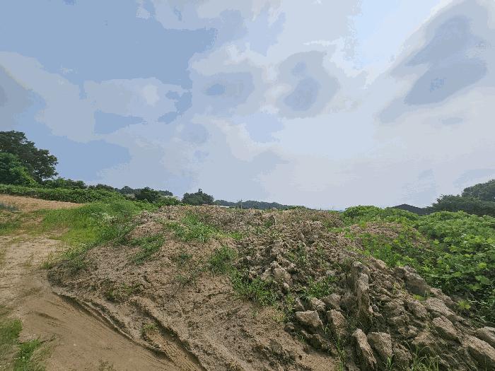 충청북도 음성군 대소면 소석리 567 전 경매 사진 5