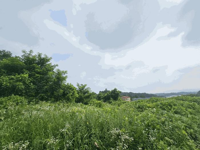 충청북도 음성군 대소면 소석리 567 전 경매 사진 6