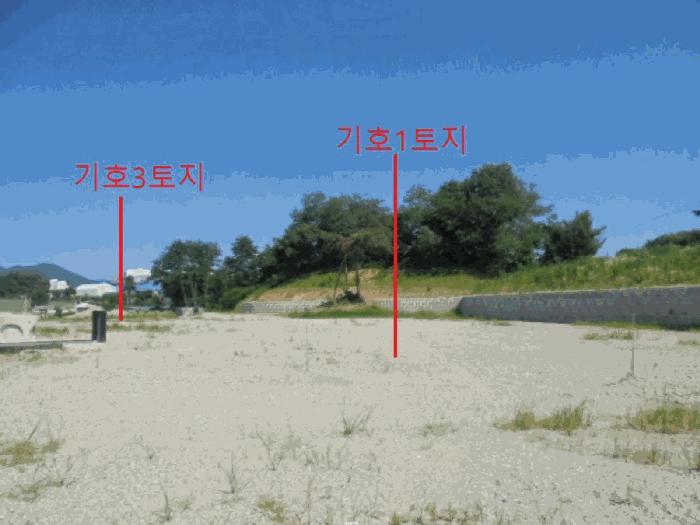충청북도 음성군 금왕읍 내송리 산30-7 임야 경매 사진 15