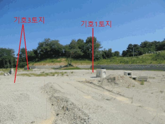 충청북도 음성군 금왕읍 내송리 산30-7 임야 경매 사진 17