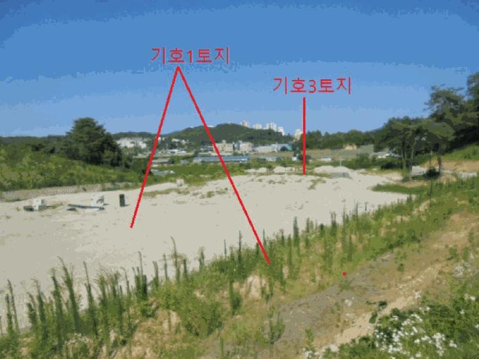 충청북도 음성군 금왕읍 내송리 산30-7 임야 경매 사진 3