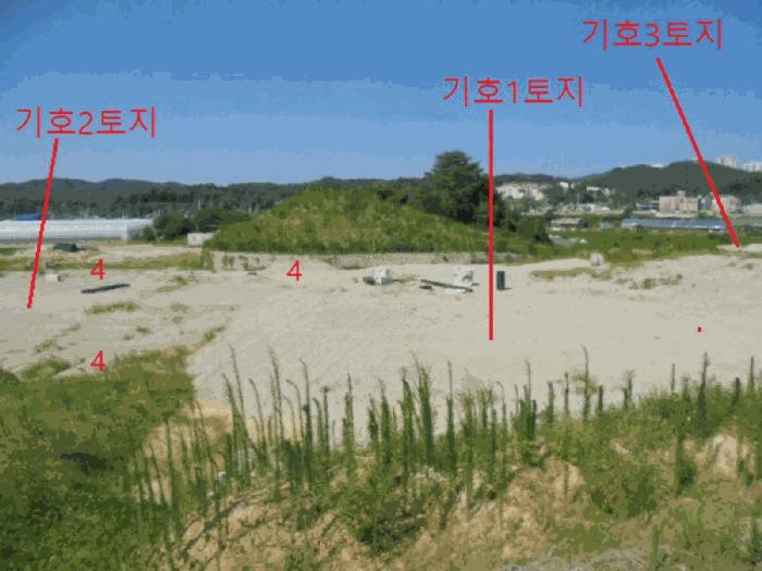 충청북도 음성군 금왕읍 내송리 산30-7 임야 경매 사진 5