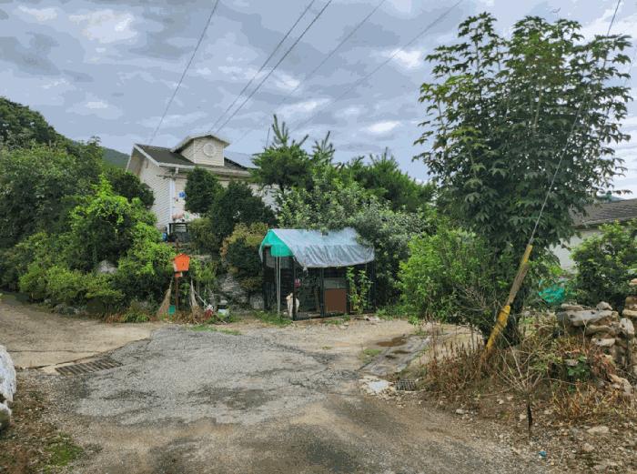 충청북도 충주시 노은면 연하리 120-5 주택 경매 사진 2