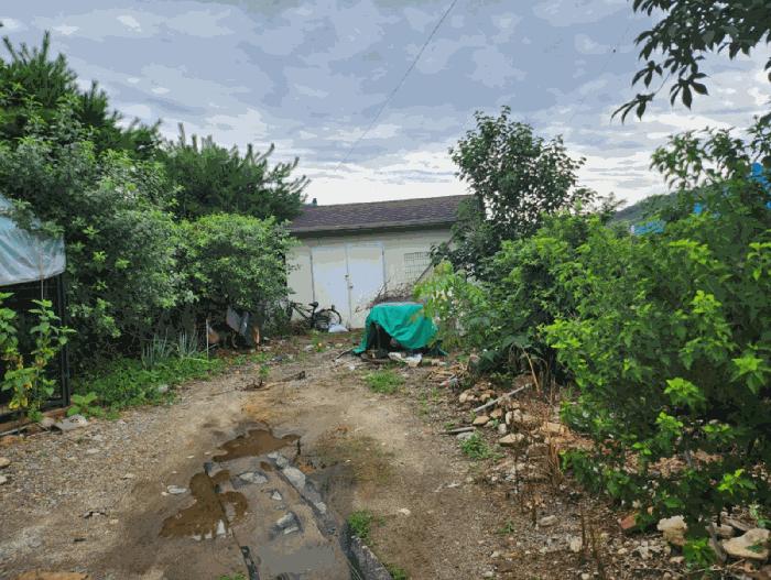 충청북도 충주시 노은면 연하리 120-5 주택 경매 사진 9