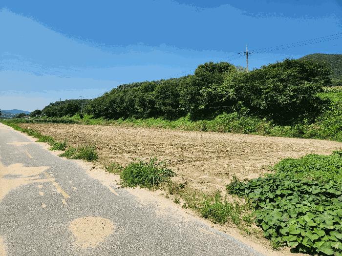 충북 충주시 전