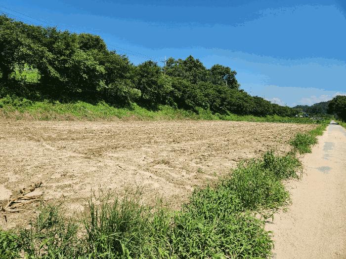 충청북도 충주시 중앙탑면 장천리 826-1 전 경매 사진 3