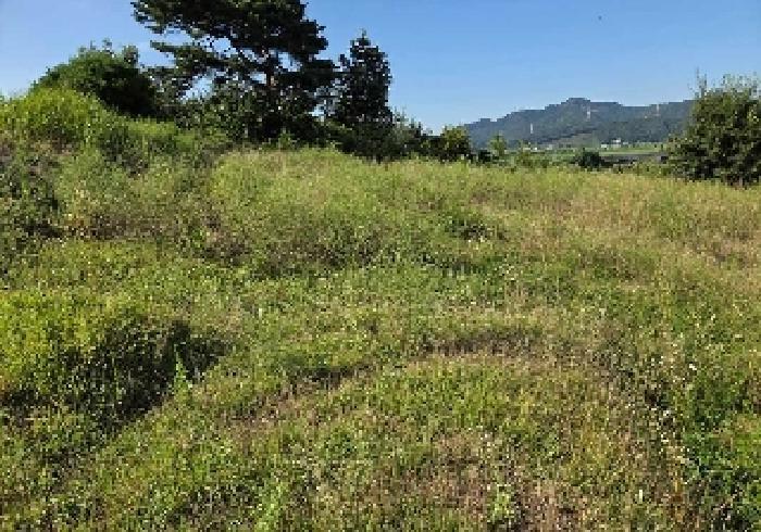 충청남도 아산시 신창면 가덕리 447-1 전 경매 사진 21