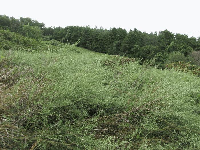경상남도 거제시 사등면 창호리 368-3 전 경매 사진 1