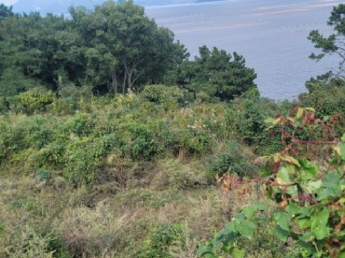 경상남도 거제시 사등면 창호리 368-3 전 경매 사진 16