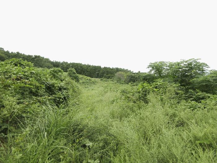 경상남도 거제시 사등면 창호리 368-3 전 경매 사진 3