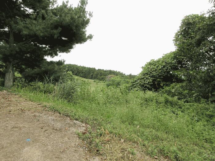 경상남도 거제시 사등면 창호리 368-3 전 경매 사진 7