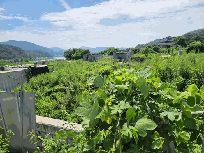 충청북도 충주시 전