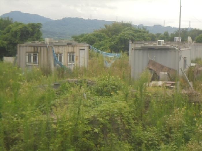 충청북도 충주시 앙성면 조천리 217-17 전 경매 사진 11