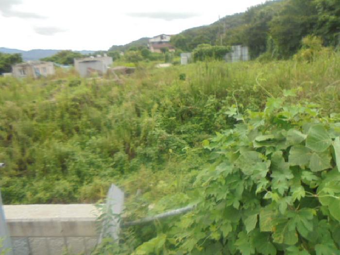 충청북도 충주시 앙성면 조천리 217-17 전 경매 사진 12