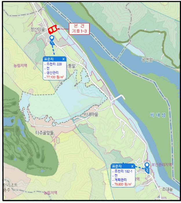 충청북도 충주시 앙성면 조천리 217-17 전 경매 사진 18