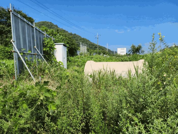 충청북도 충주시 앙성면 조천리 217-17 전 경매 사진 3