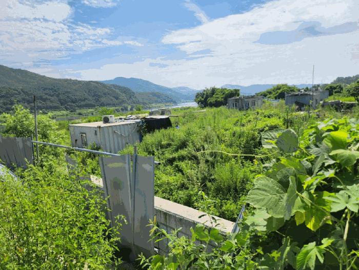 충청북도 충주시 앙성면 조천리 217-17 전 경매 사진 4