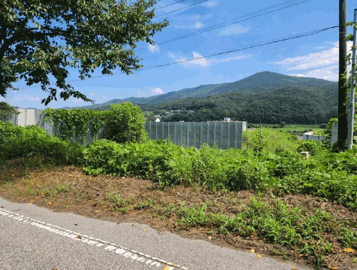 충청북도 충주시 앙성면 조천리 217-17 전 경매 사진 7