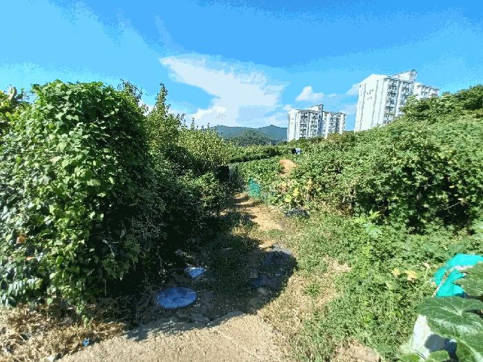 경상남도 통영시 미수동 679 주택 경매 사진 17