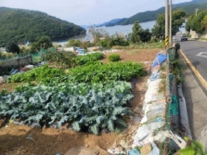 경상남도 통영시 미수동 679 주택 경매 사진 34