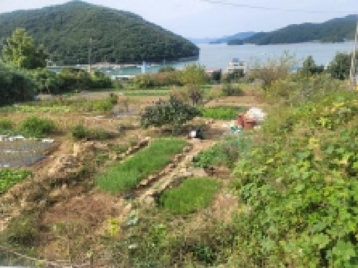 경상남도 통영시 미수동 679 주택 경매 사진 36