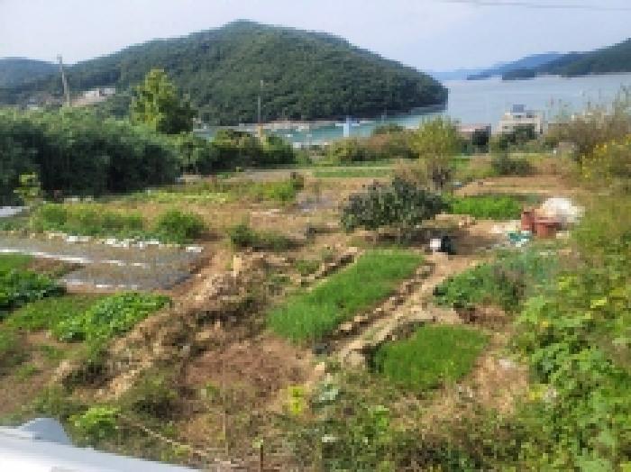 경상남도 통영시 미수동 679 주택 경매 사진 37