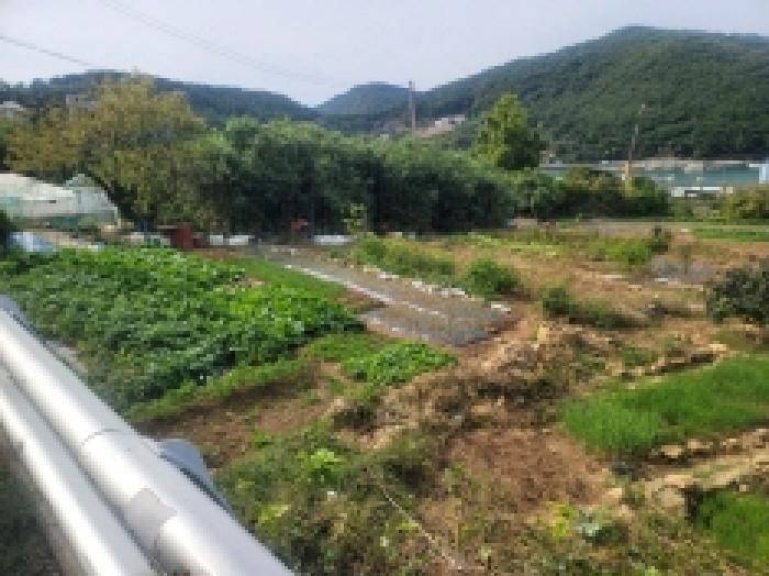 경상남도 통영시 미수동 679 주택 경매 사진 38