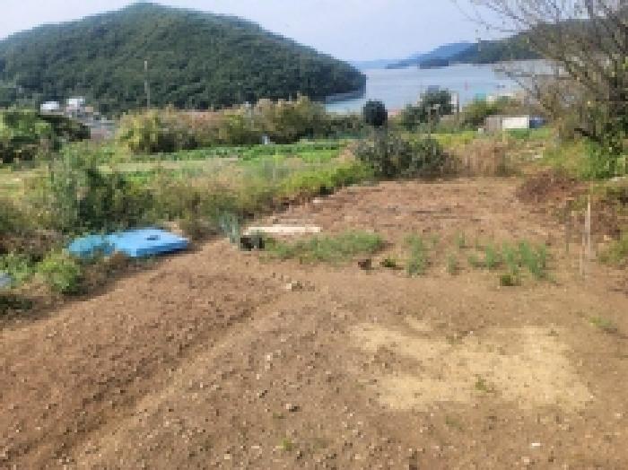 경상남도 통영시 미수동 679 주택 경매 사진 39