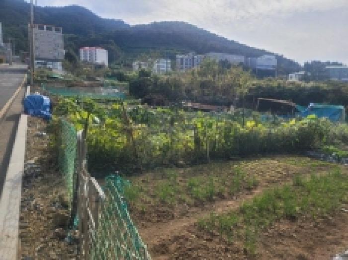경상남도 통영시 미수동 679 주택 경매 사진 44