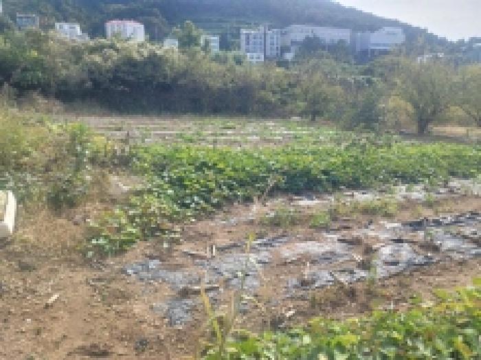 경상남도 통영시 미수동 679 주택 경매 사진 47
