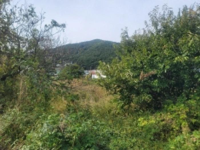 경상남도 통영시 미수동 679 주택 경매 사진 49